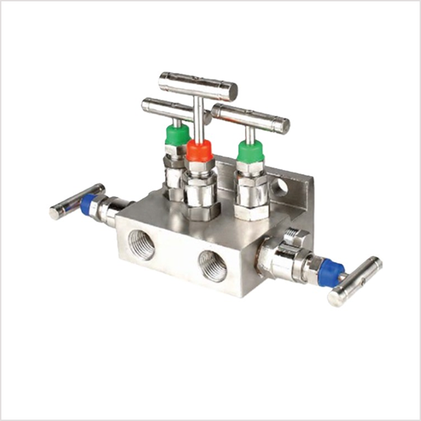 Five Valve Manifold T Type